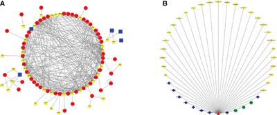 HAMP as a Prognostic Biomarker for Colorectal Cancer Based on Tumor Microenvironment Analysis